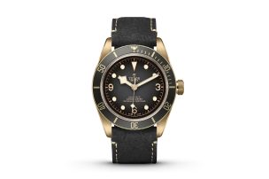 tudor black bay bronze
