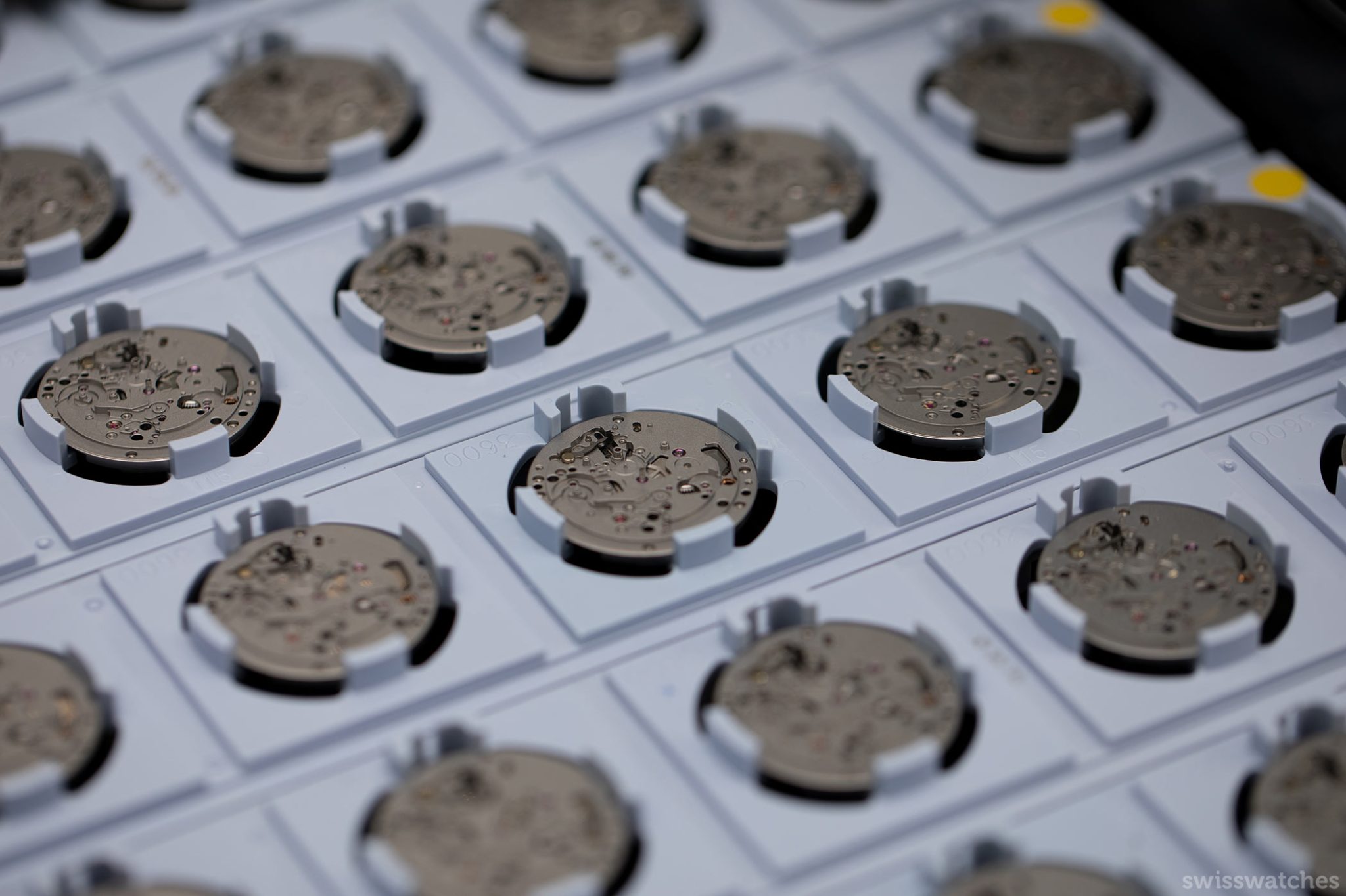 A sample of cases saved in small boxes found in Zenith manufacture
