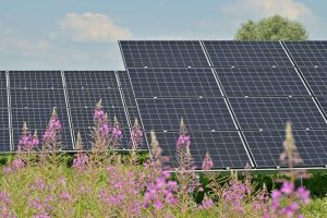Solar-Cells-For-The-Green-Energy-And-Climate-Neutral-Work-Credit-Andres-Siimon