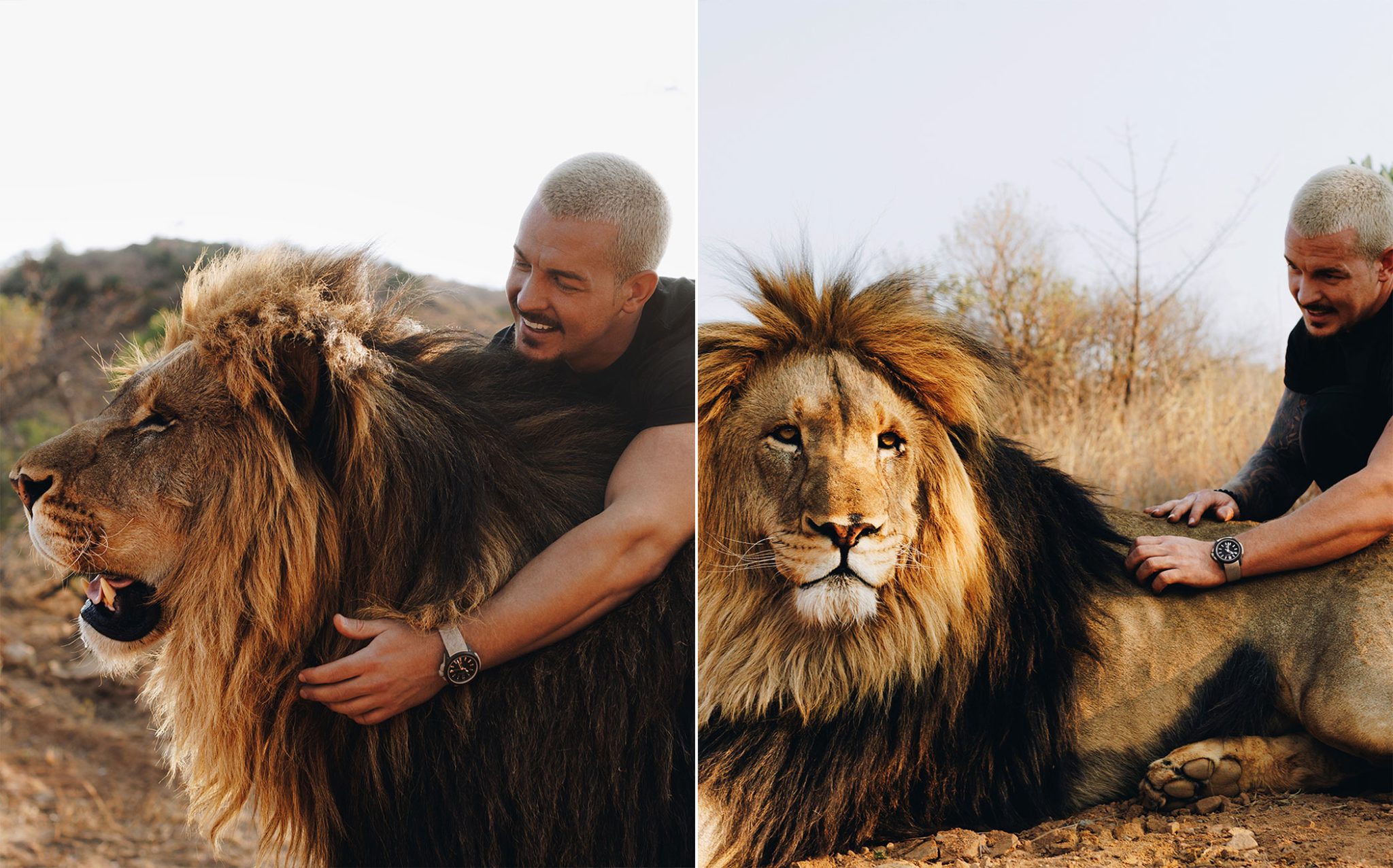 Norqain-WildOne-Hakuna-Mipaka-Baun-Lions
