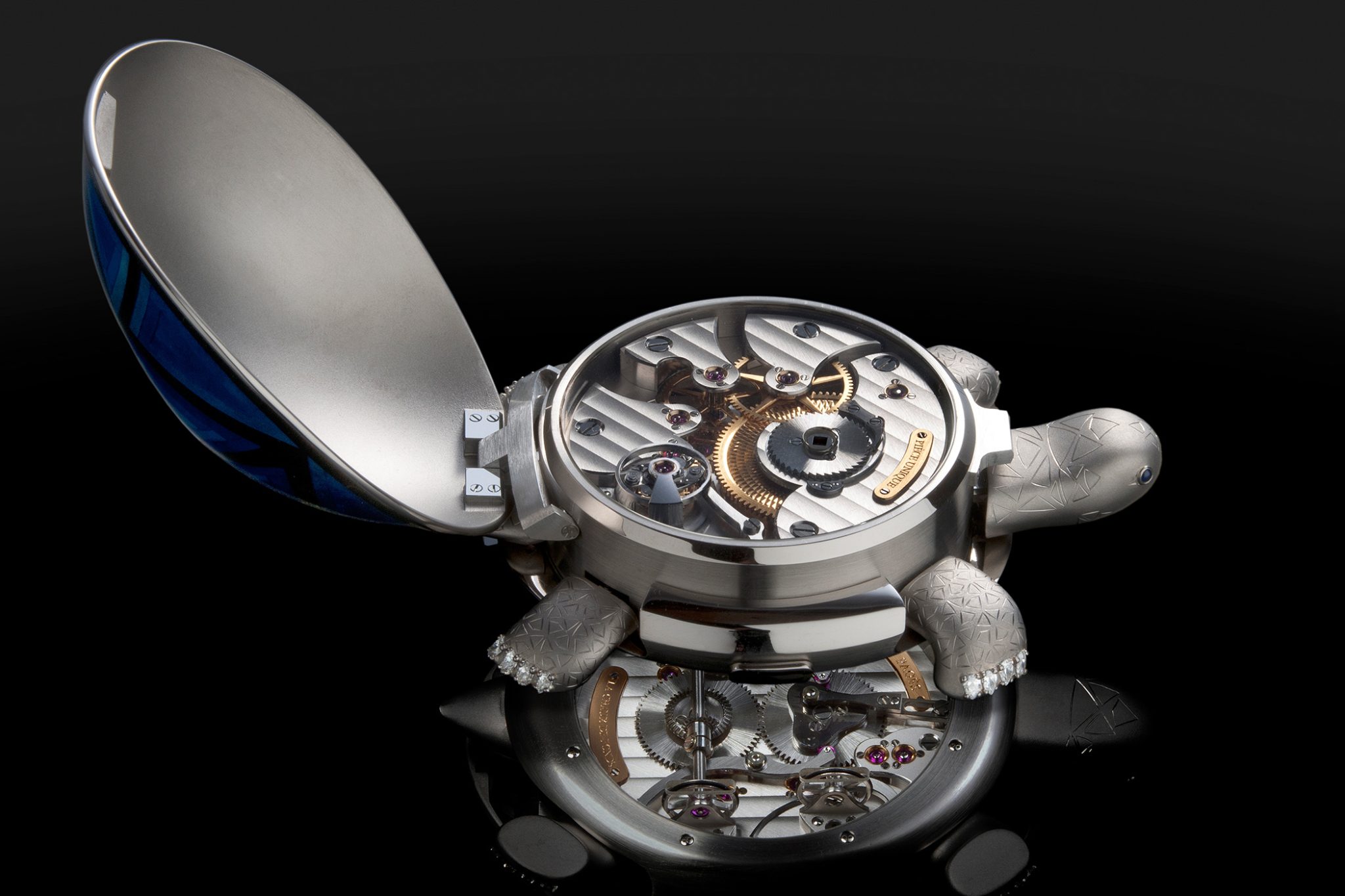 tortue-automat-raul-pages-movement