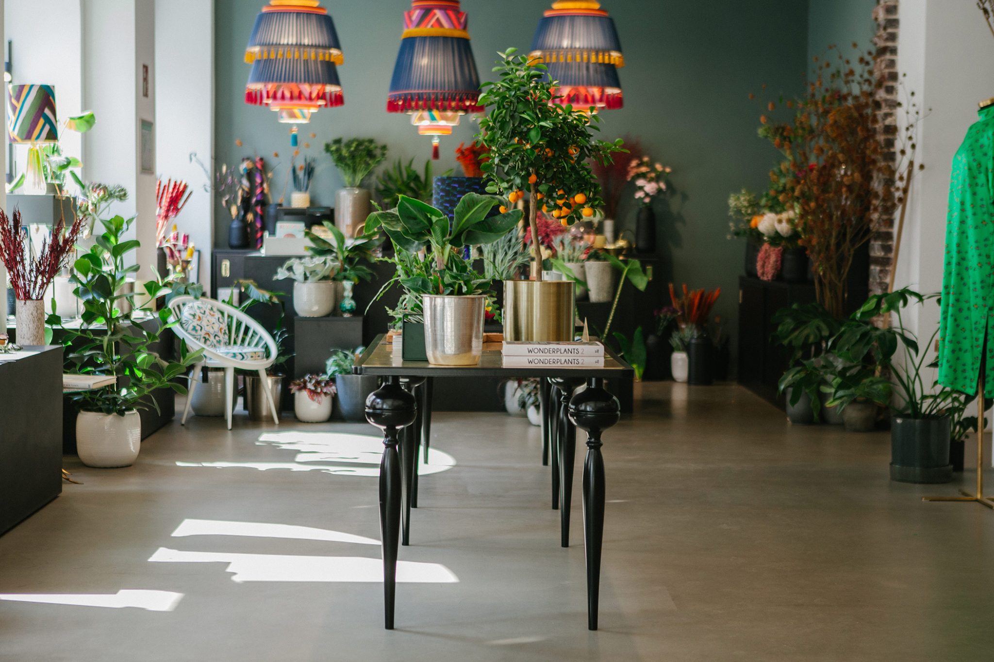 sois-blessed-day-bar-plants
