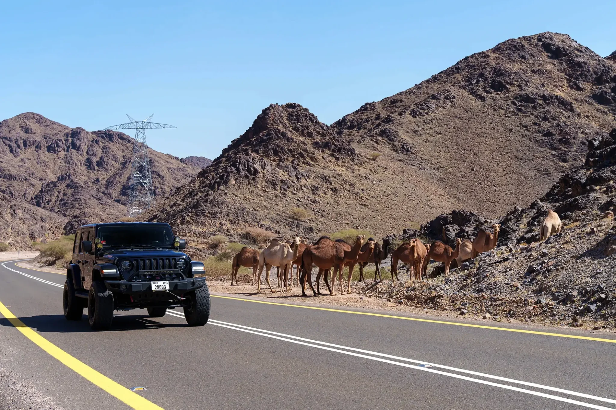richard-mille-rally-a-shira-jeep-wrangler-driving