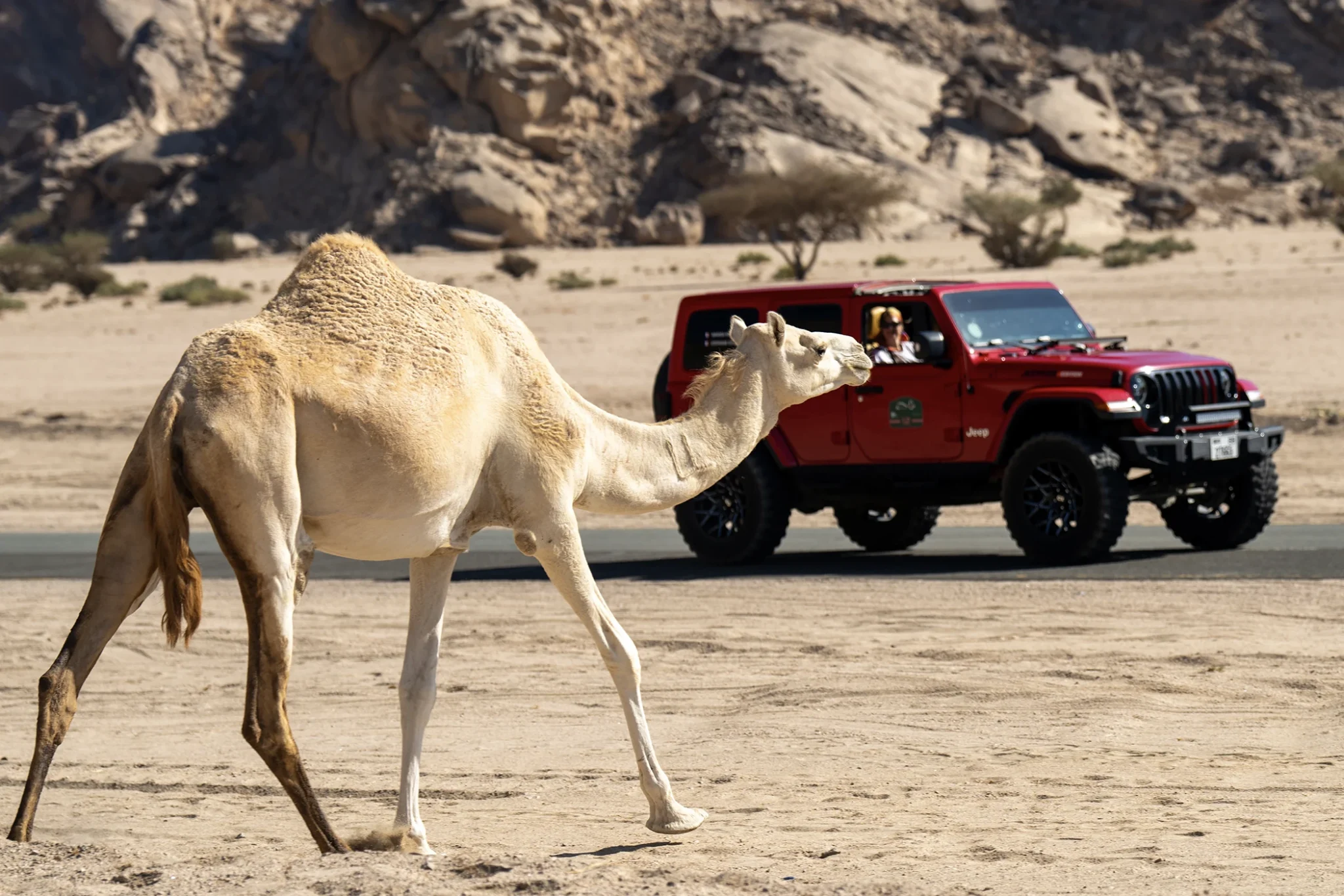 richard-mille-rally-a-shira-jeep-wrangler-with-camel