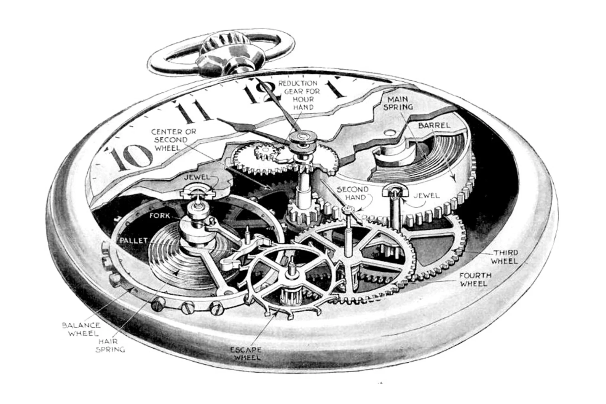drawing-of-the-function-of-a-pocket-watch