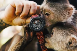 The Norqain Wild ONE Skeleton 42mm Hakuna Mipaka Limited Edition N3000-07Q17-B24-R01 with apes.